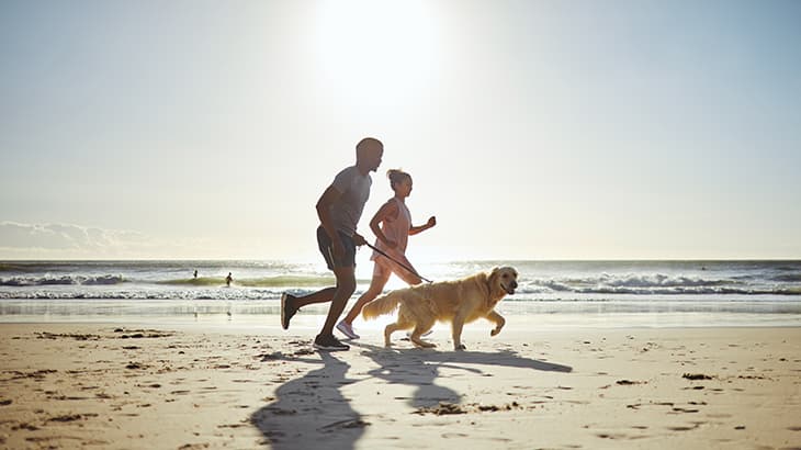 Couple jogging along a sandy beach with their golden retriever on a sunny day.