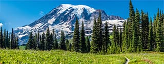 Mt. Rainier, Washington