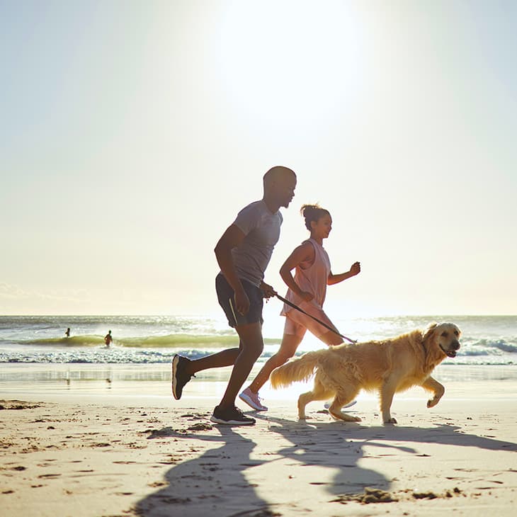 A couple jogging along a sunny beach with their golden retriever on a leash.