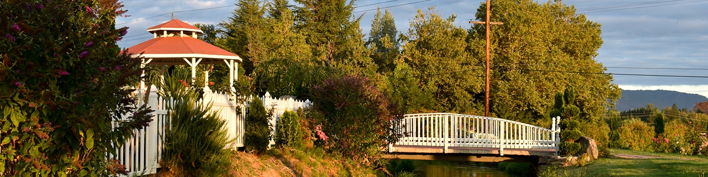 Photo of Medford, Oregon skyline.