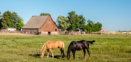 Photo of Nampa, Idaho skyline.