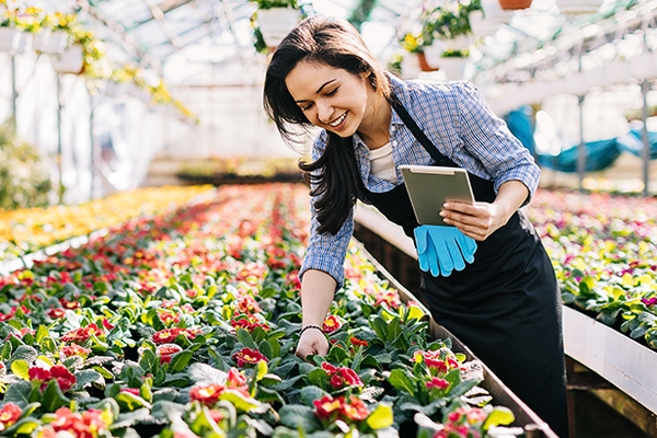 Woman holding a digital tablet and looking at potted flowers in a greenhouse