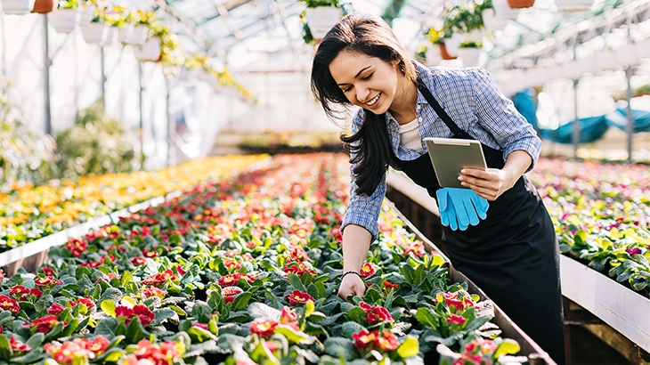 Woman holding a digital tablet and looking at potted flowers in a greenhouse