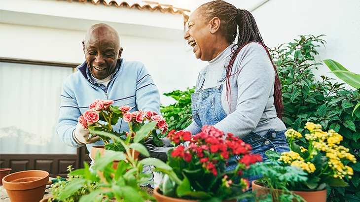 Mature couple laughing and gardening.