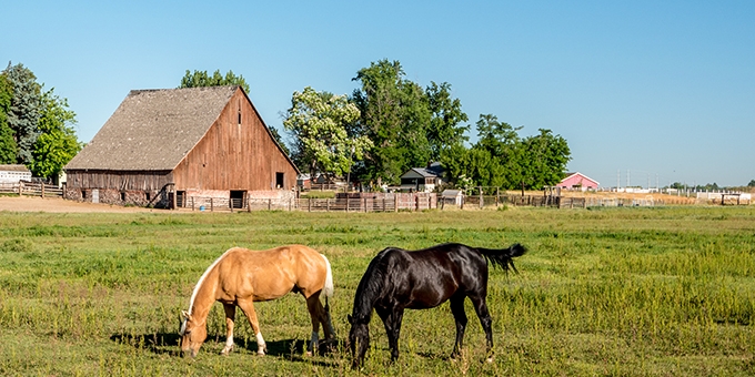 Photo of Nampa, Idaho skyline.