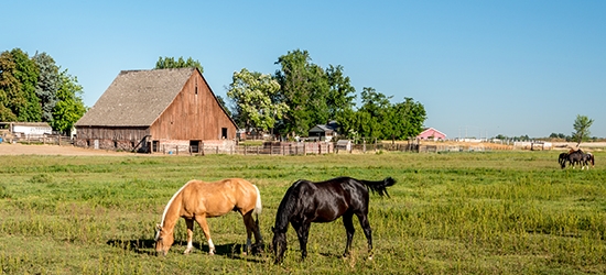 Photo of Nampa, Idaho skyline.