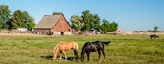Photo of Nampa, Idaho skyline.