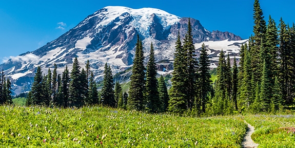 Mt. Rainier, Washington