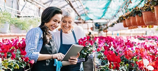 Gardeners with tablet in greenhouse surrounded by flowers