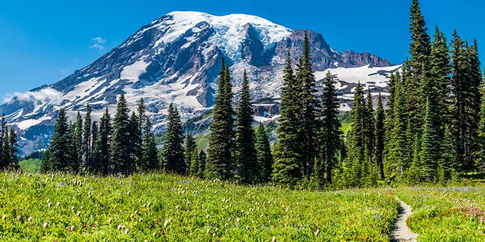 Mt. Rainier, Washington