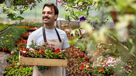Smiling male gardener in an apron holding a wooden crate of colorful flowers in a greenhouse.