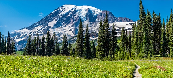 Mt. Rainier, Washington