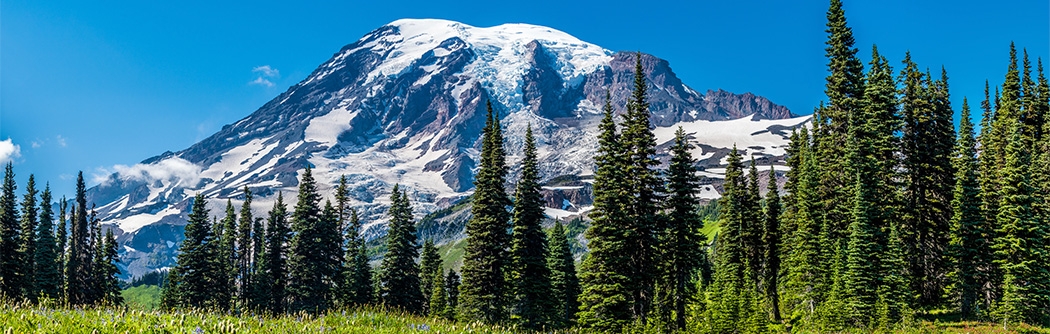 Mt. Rainier, Washington