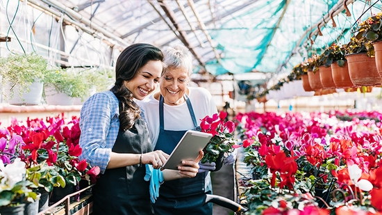 Owner and employee smiling while looking at a tablet in a greenhouse.