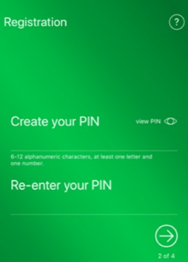 Treasury Express Mobile App create your pin screen