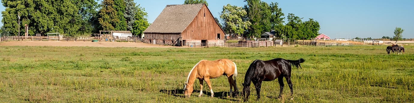 Photo of Nampa, Idaho skyline.