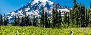 Mt. Rainier, Washington