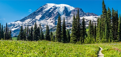 Mt. Rainier, Washington