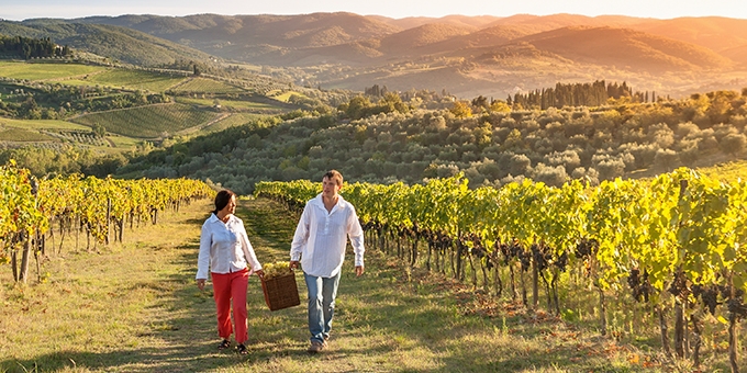 Man and woman carrying a basket of grapes together through a vineyard.