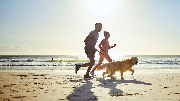 A couple jogging along a sunny beach with their golden retriever on a leash.