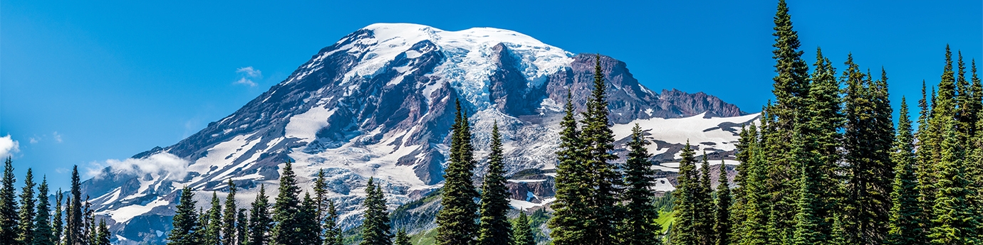 Mt. Rainier, Washington